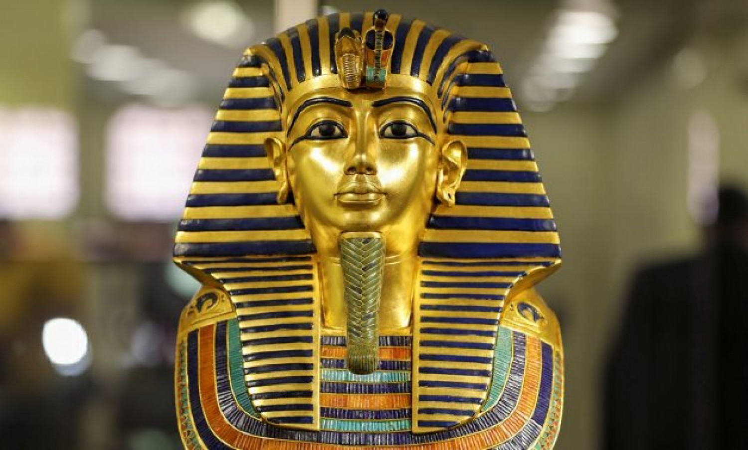 egypt the curse of tutankhamun